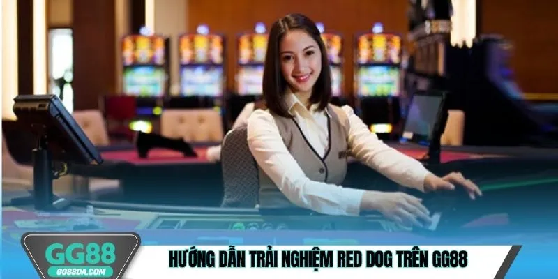 Hướng dẫn trải nghiệm Red dog trên GG88